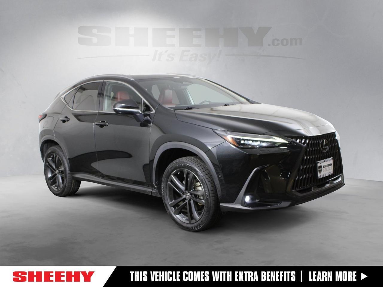 2022 Lexus NX