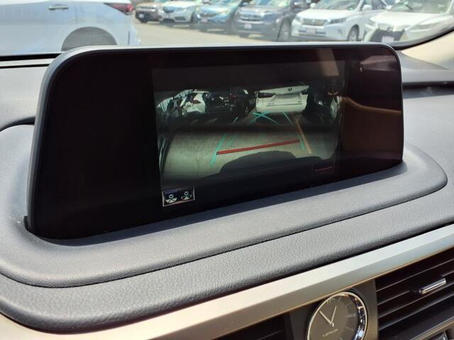 2022 Lexus RX 350 Premium Roanoke VA