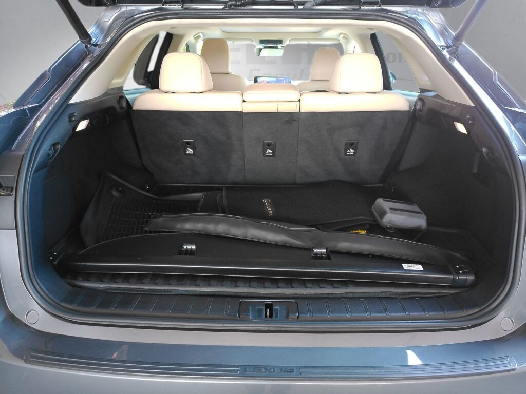 2022 Lexus RX 350 Richmond VA