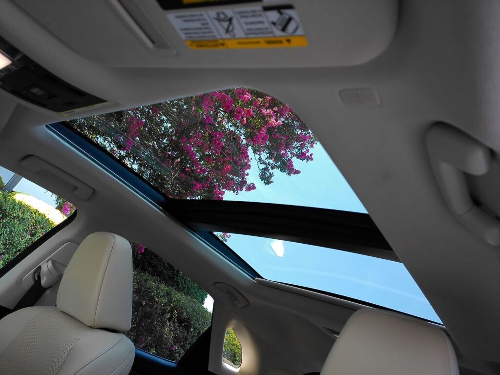 2022 Lexus RX 350 Richmond VA