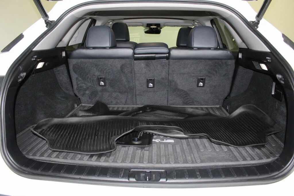 2022 Lexus RX 350 Richmond VA