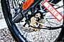 2022 Royal Enfield Himalayan Gravel Grey Boston MA