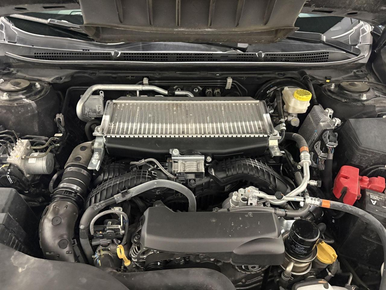 2022 Subaru Outback Wilderness Parker CO