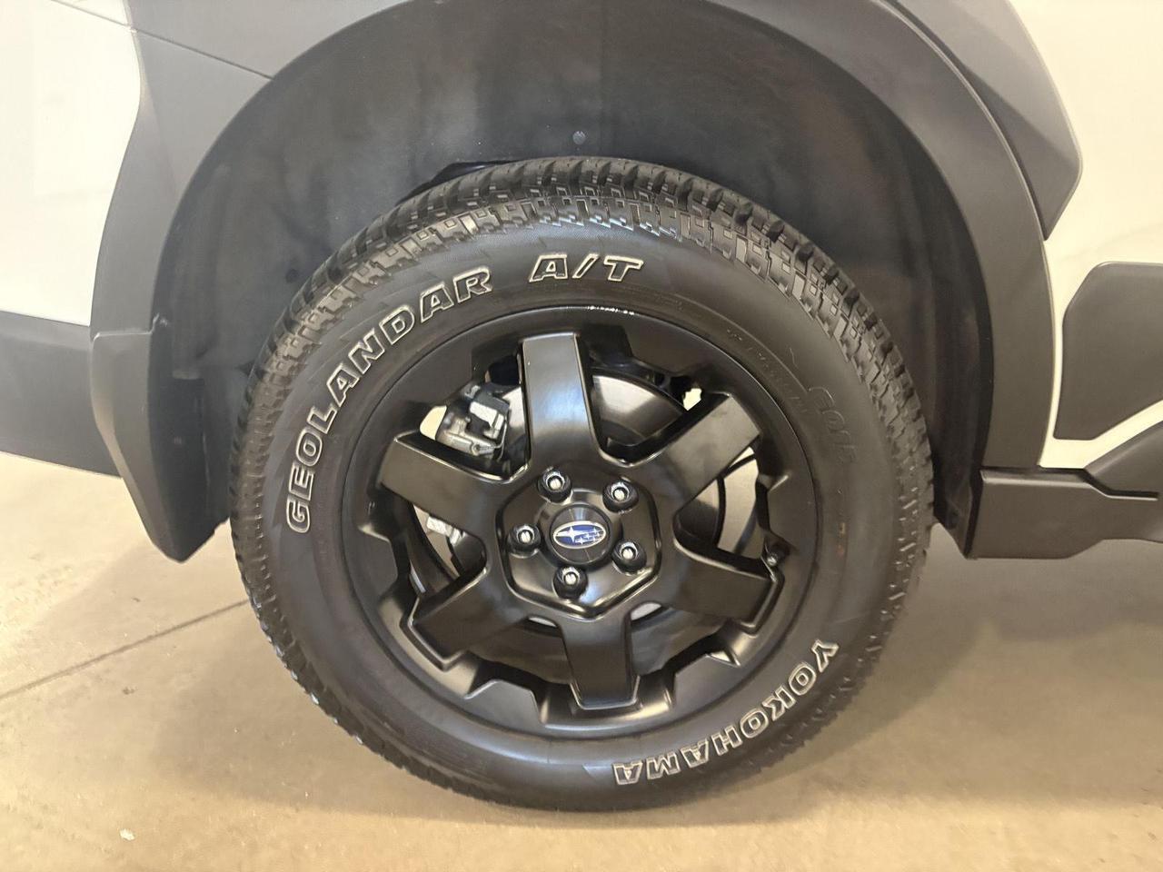 2022 Subaru Outback Wilderness Parker CO