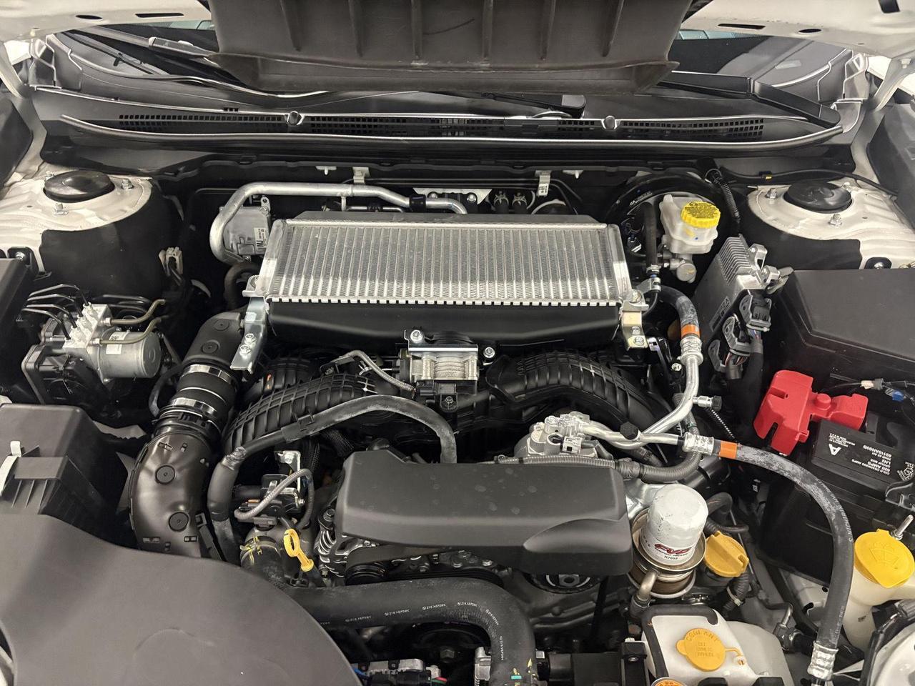2022 Subaru Outback Wilderness Parker CO