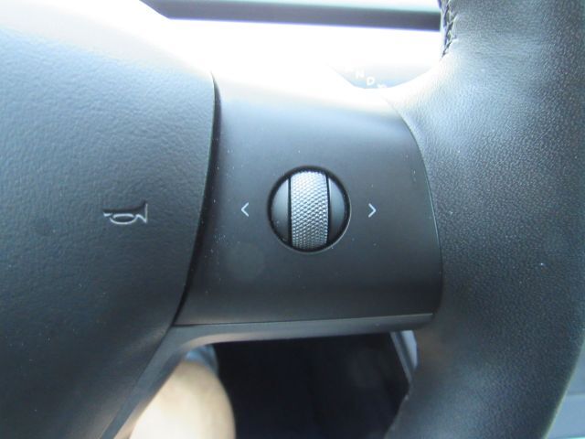 2022 Tesla Model 3 Rear-Wheel Drive photo 35
