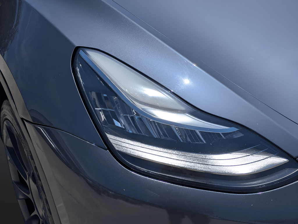 2022 Tesla Model Y Long Range Saint Augustine FL
