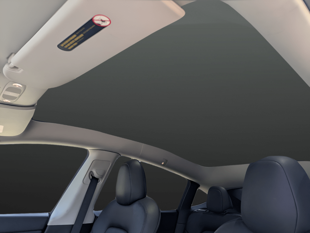 2022 Tesla Model Y Long Range Saint Augustine FL