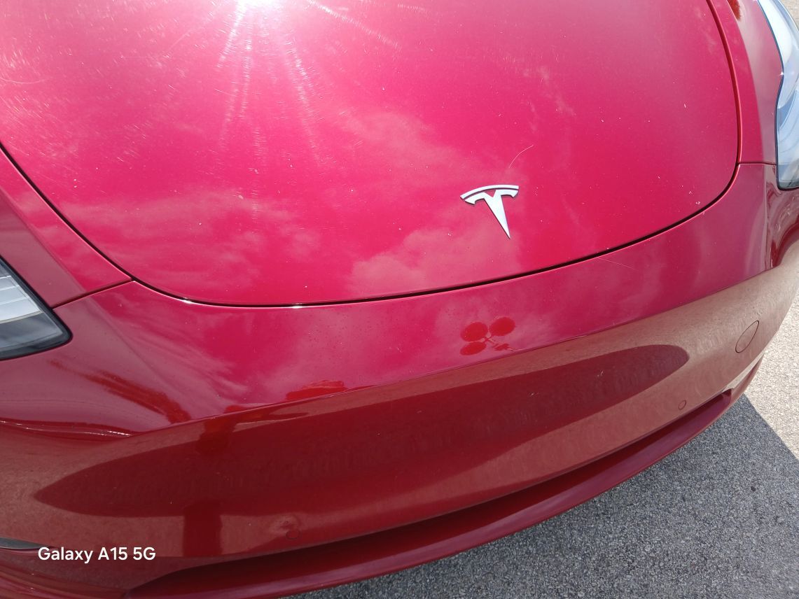 2022 Tesla Model Y Long Range Sport Utility 4D Maitland FL