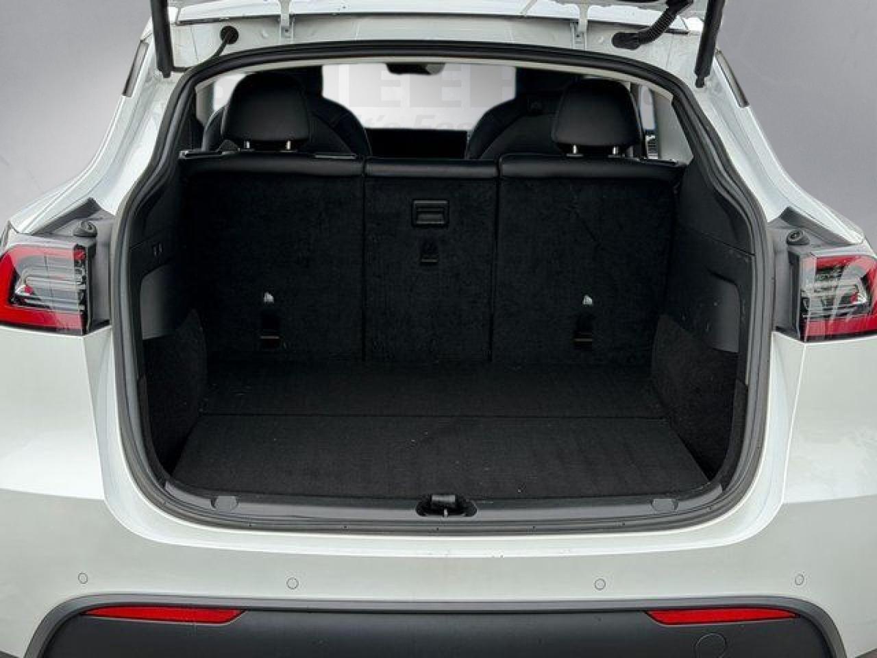 2022 Tesla Model Y Performance Springfield VA