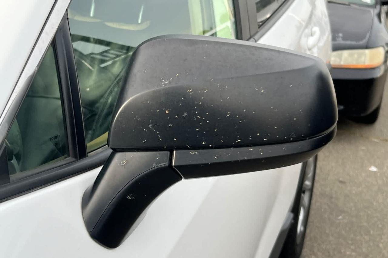 2022 Toyota RAV4 LE Roseville CA