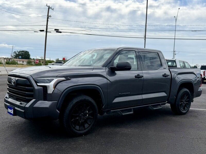 2022 Toyota Tundra 2WD SR5 Del Rio TX