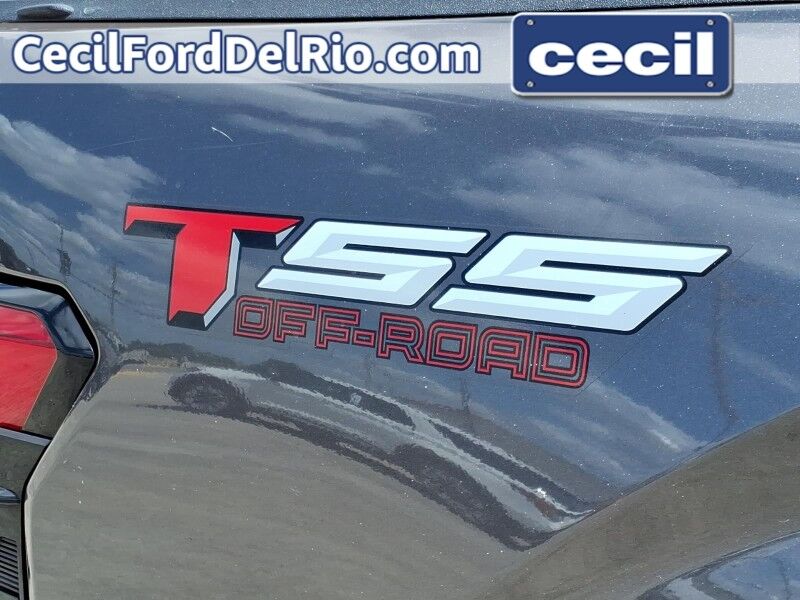 2022 Toyota Tundra 2WD SR5 Del Rio TX