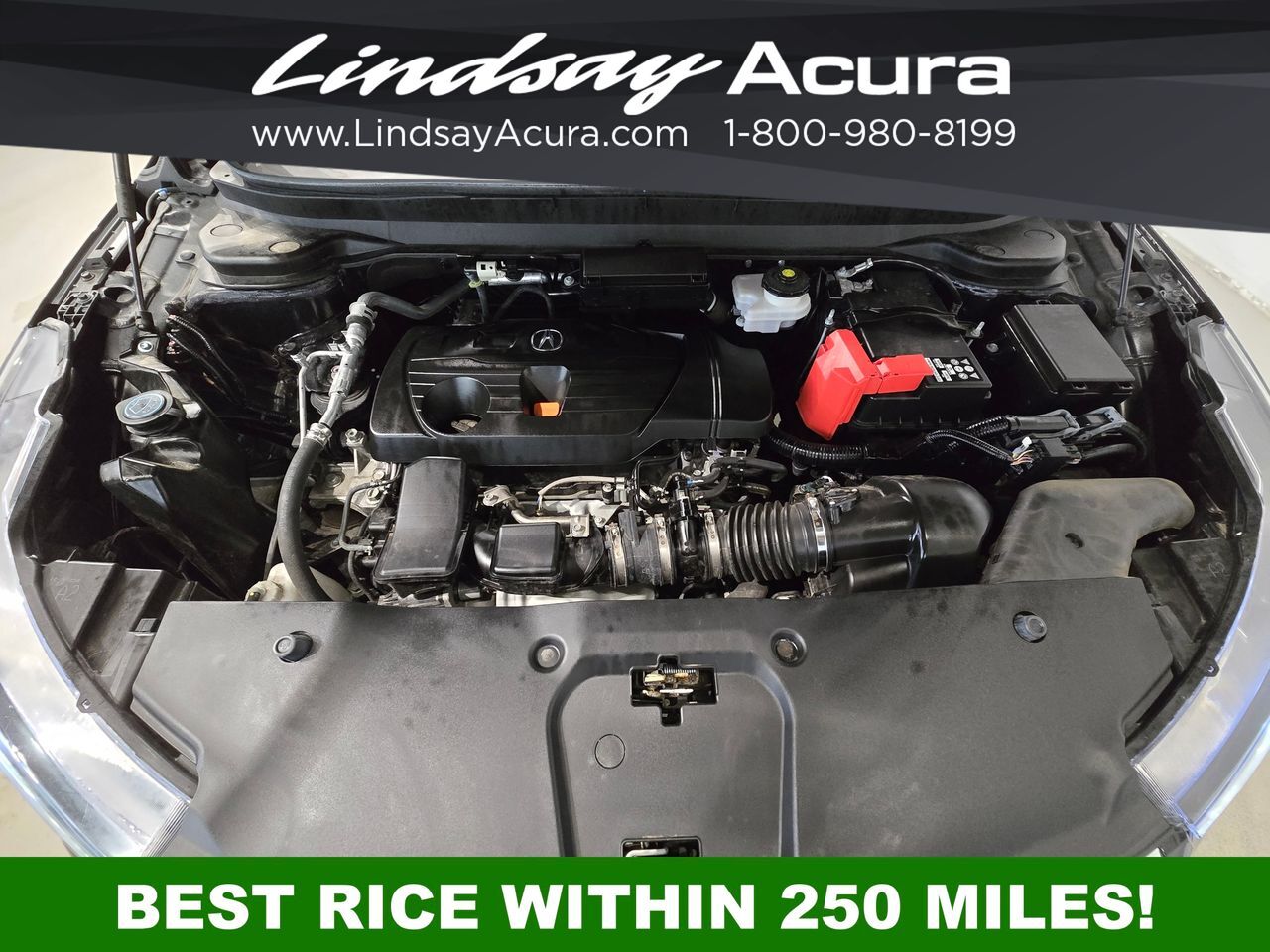 2023 Acura RDX Technology Package Columbus OH