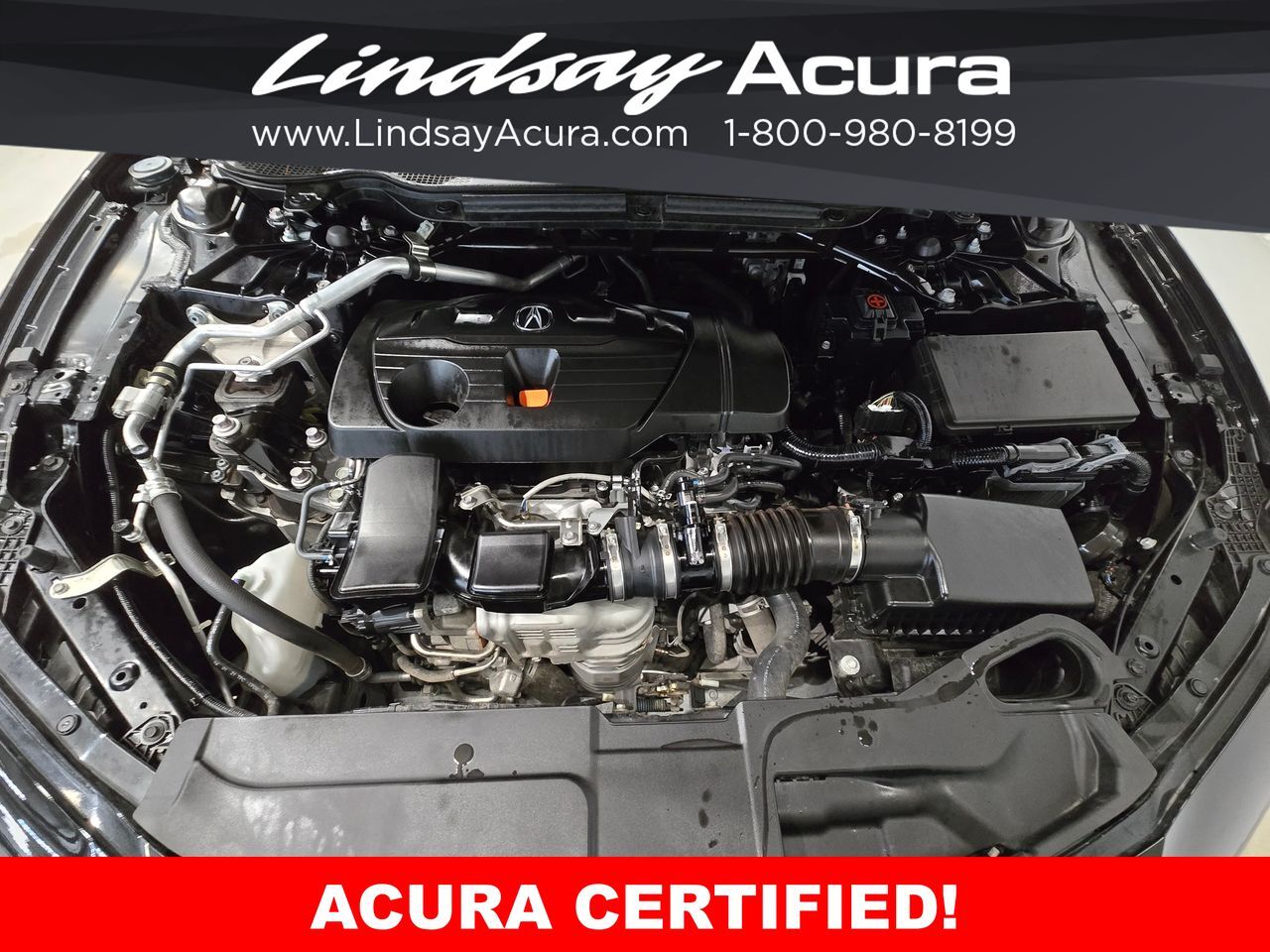 2023 Acura TLX A-Spec Package Columbus OH