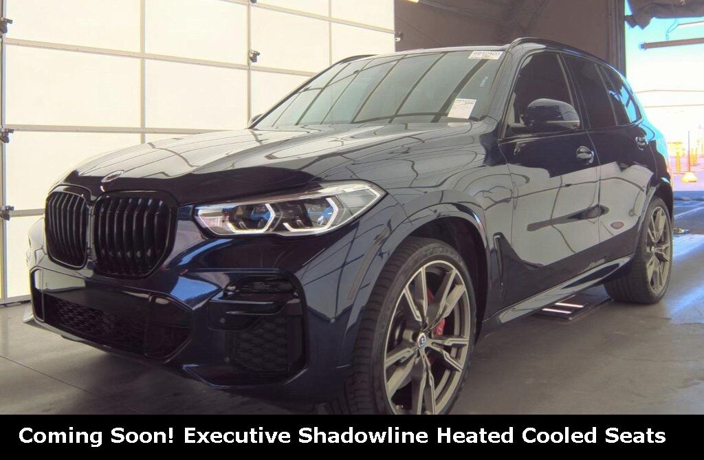 2023 BMW X5