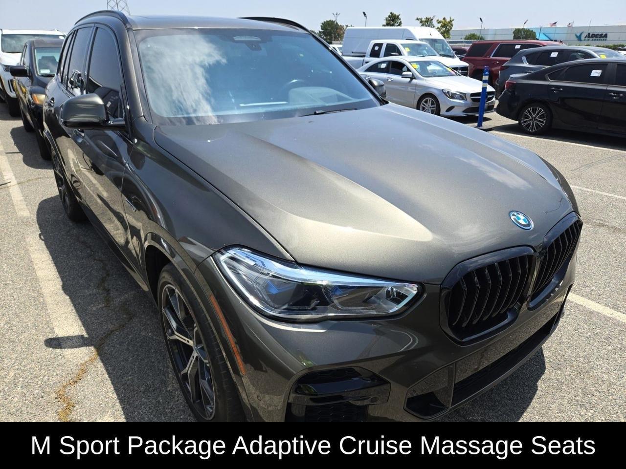2023 BMW X5