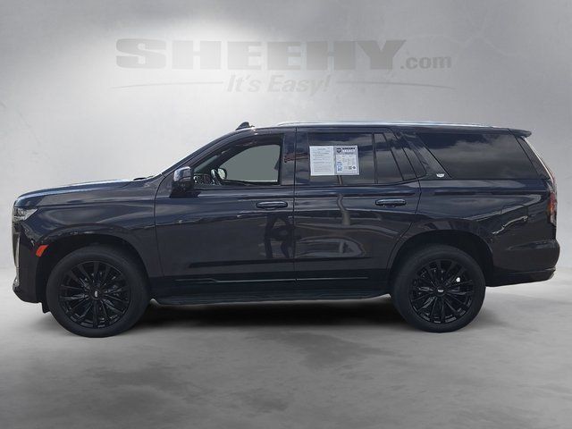 2023 Cadillac Escalade Premium Luxury Fredericksburg VA