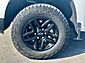 2023 Chevrolet Silverado 1500 Custom Trail Boss  TX
