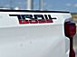 2023 Chevrolet Silverado 1500 Custom Trail Boss  TX