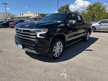 2023_Chevrolet_Silverado 1500_High Country_  TX