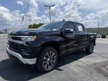 2023_Chevrolet_Silverado 1500_LT_  TX