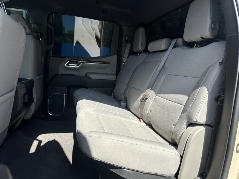 2023 Chevrolet Silverado 1500 LT Trail Boss Jacksonville FL