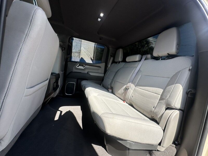 2023 Chevrolet Silverado 1500 LT Trail Boss Jacksonville FL