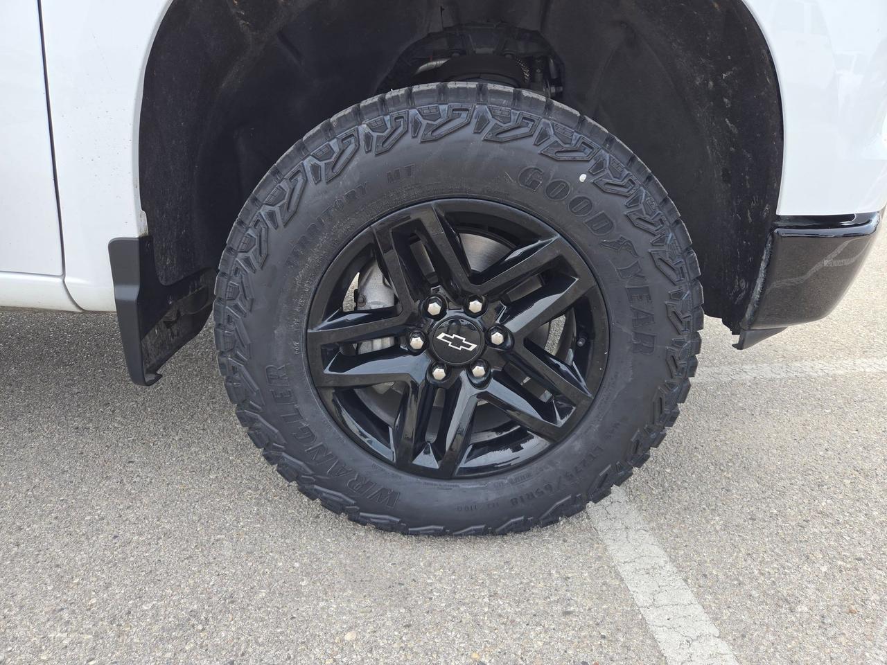 2023 Chevrolet Silverado 1500 LT Trail Boss Castroville TX