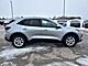2023 Ford Escape Active Milwaukee WI