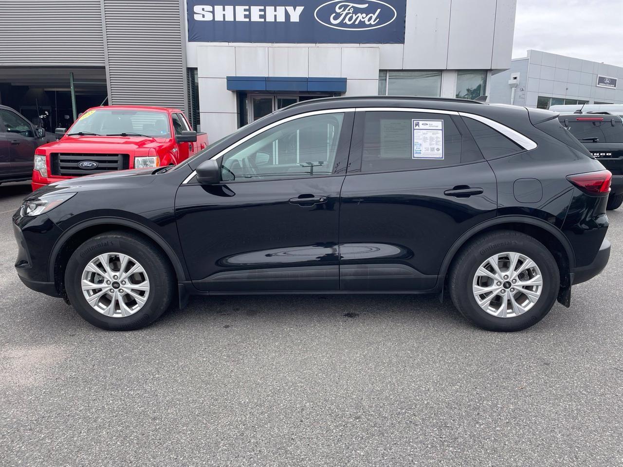 2023 Ford Escape Active Springfield VA