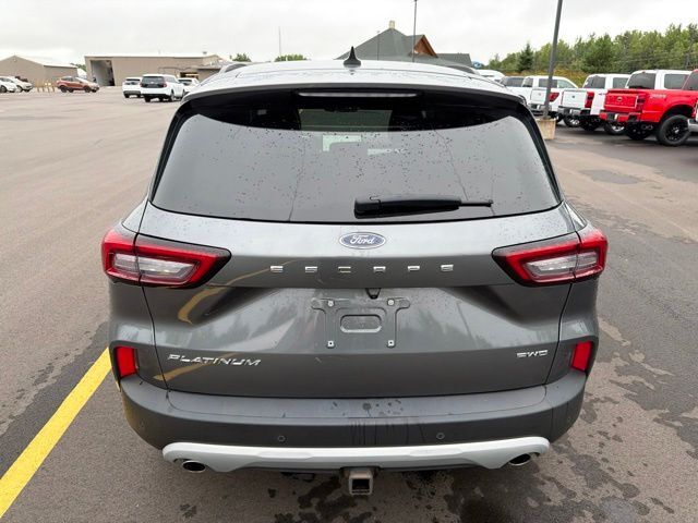 2023 Ford Escape Platinum Pine River MN