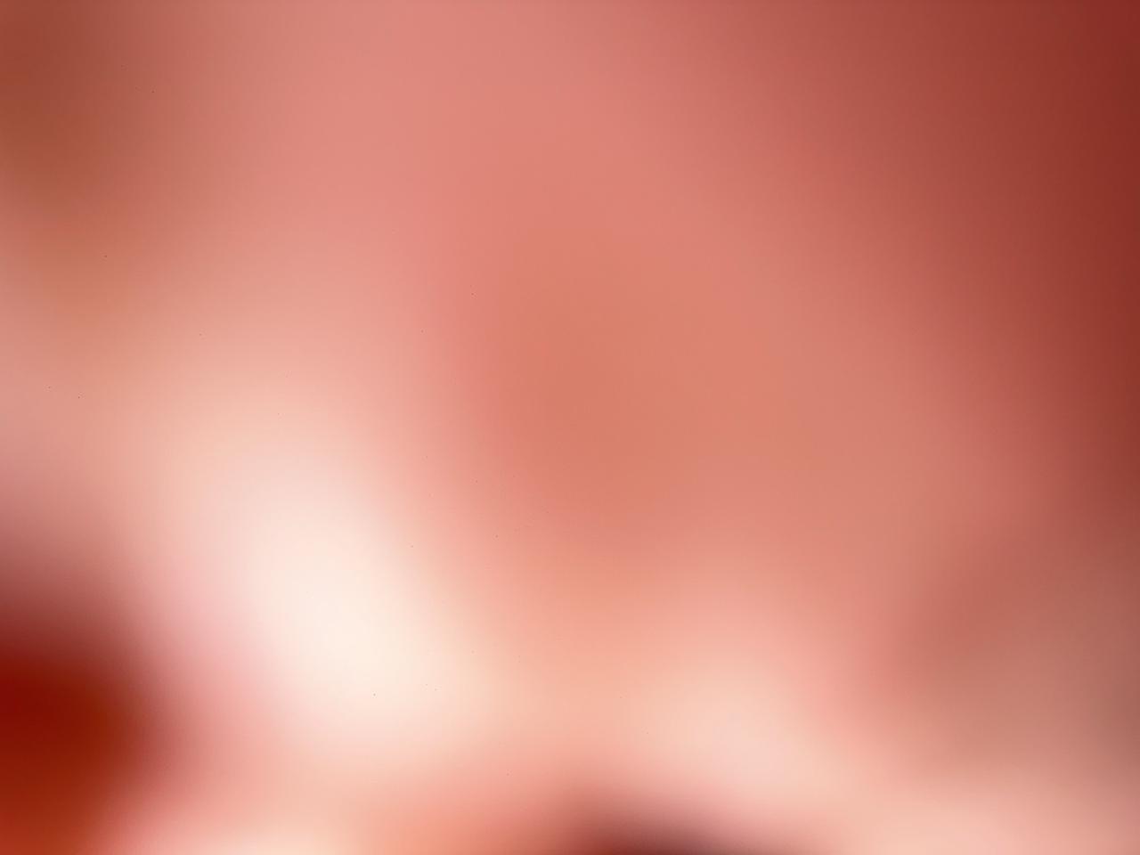 2023 Ford Explorer Platinum Gaithersburg MD