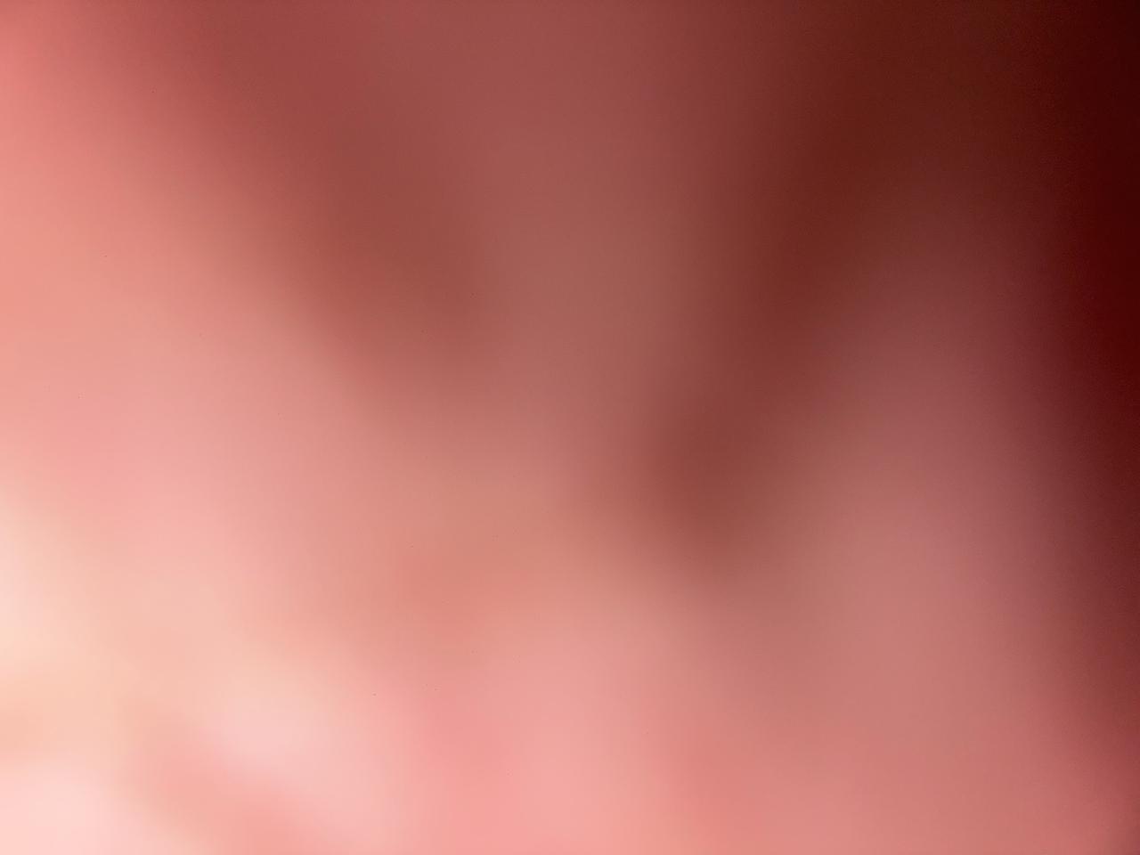 2023 Ford Explorer Platinum Gaithersburg MD