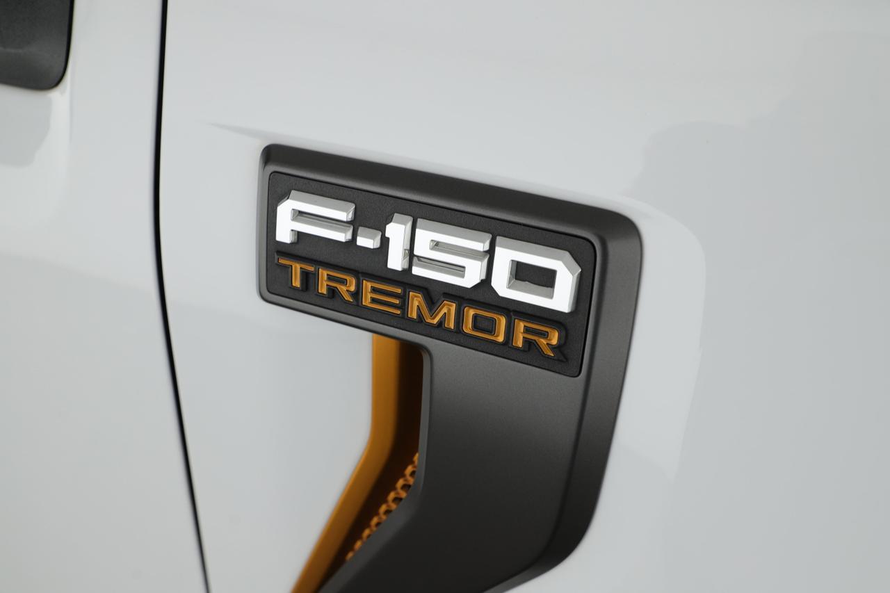 2023 Ford F-150 New Braunfels TX