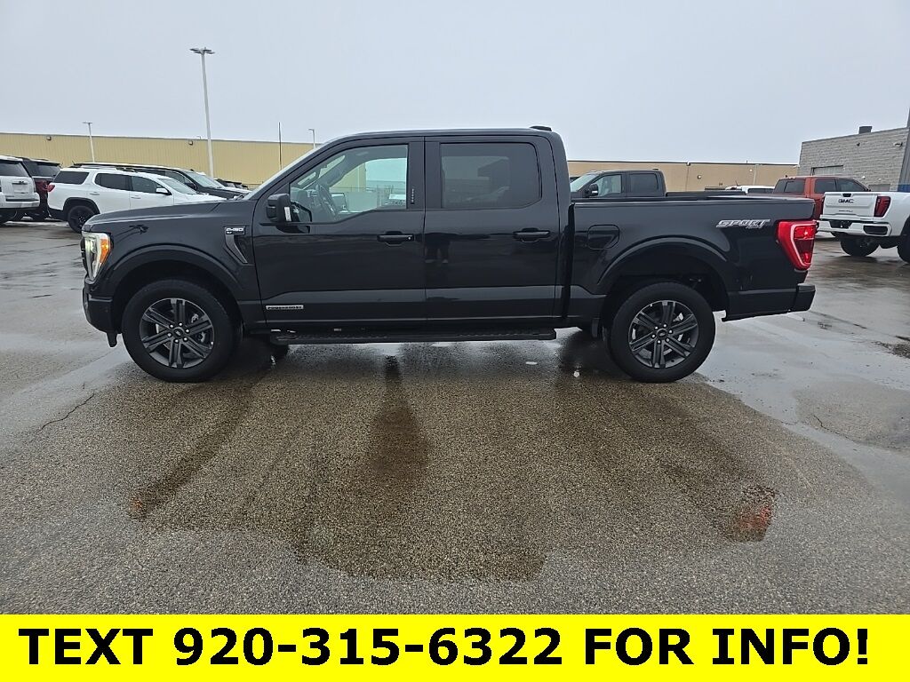 2023 Ford F-150 4x4 SuperCrew XLT