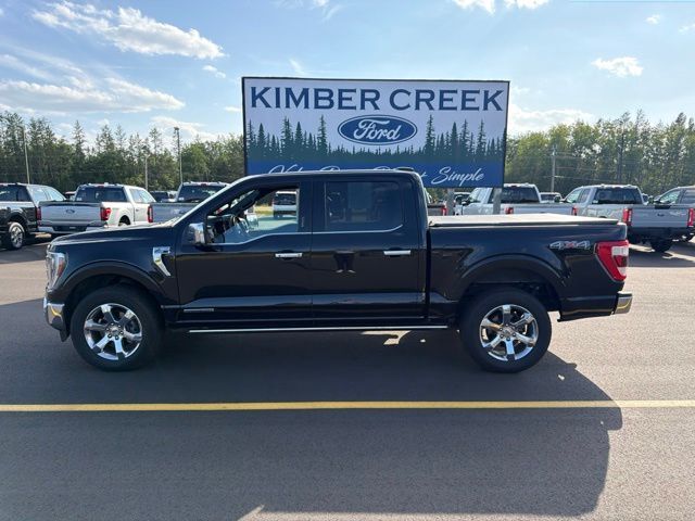 2023 Ford F-150 Lariat Pine River MN