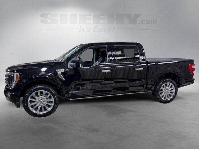 2023 Ford F-150 Limited Annapolis MD