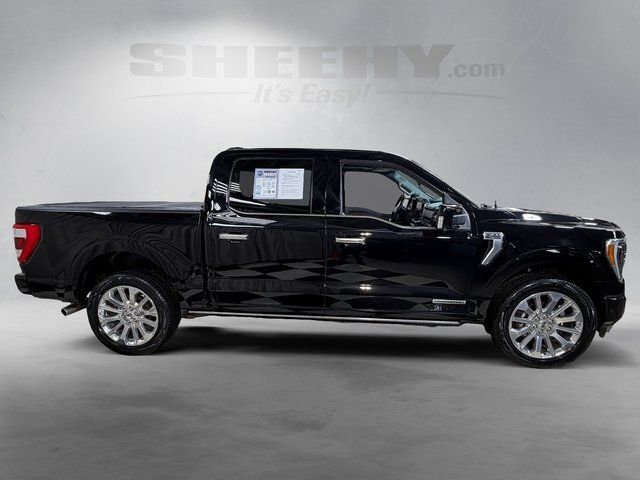 2023 Ford F-150 Limited Annapolis MD