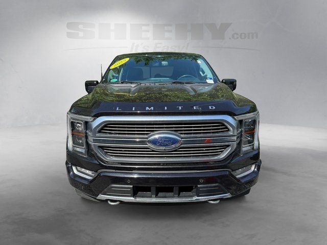 2023 Ford F-150 Limited Annapolis MD