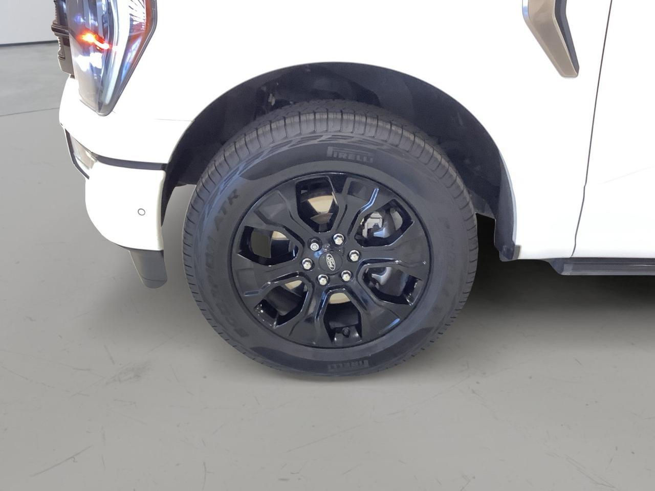 2023 Ford F-150 PLATINUM New Braunfels TX
