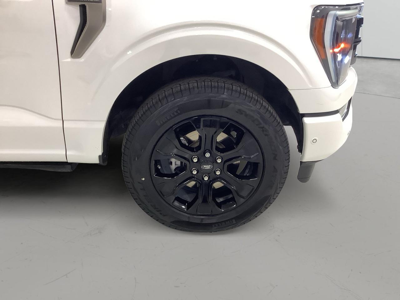 2023 Ford F-150 PLATINUM New Braunfels TX