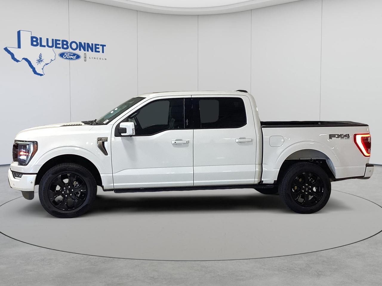 2023 Ford F-150 PLATINUM New Braunfels TX
