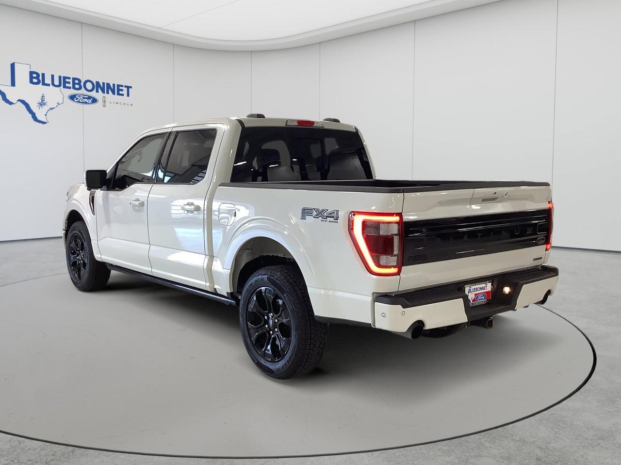 2023 Ford F-150 PLATINUM New Braunfels TX