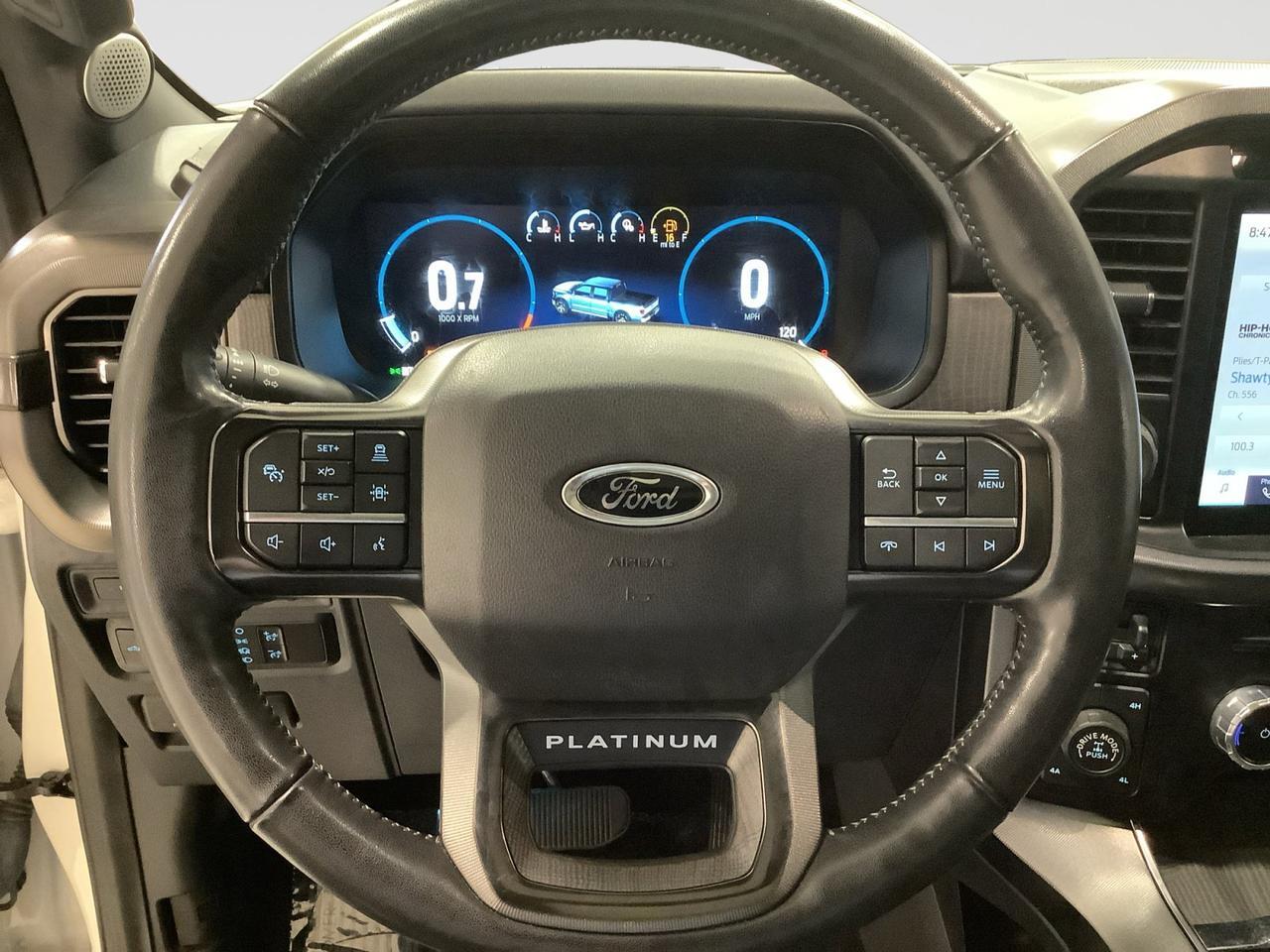 2023 Ford F-150 PLATINUM New Braunfels TX