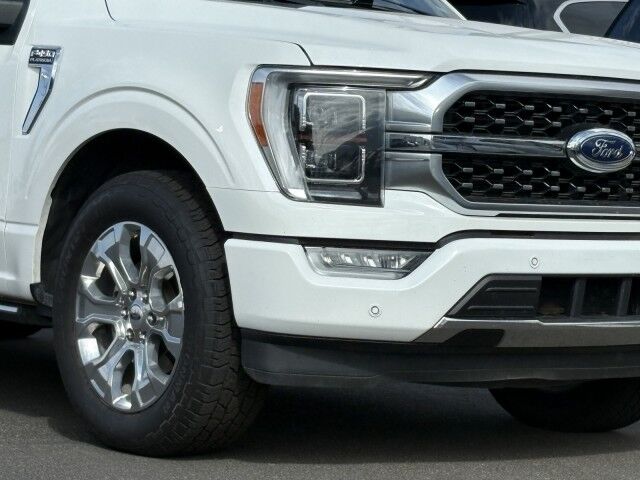 2023 Ford F-150 Platinum Albuquerque NM