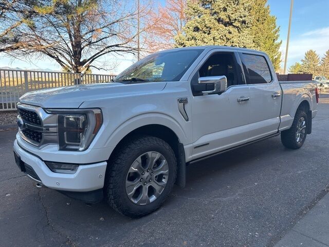 2023 Ford F-150 Platinum Loveland CO