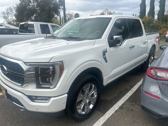 2023 Ford F-150 Platinum