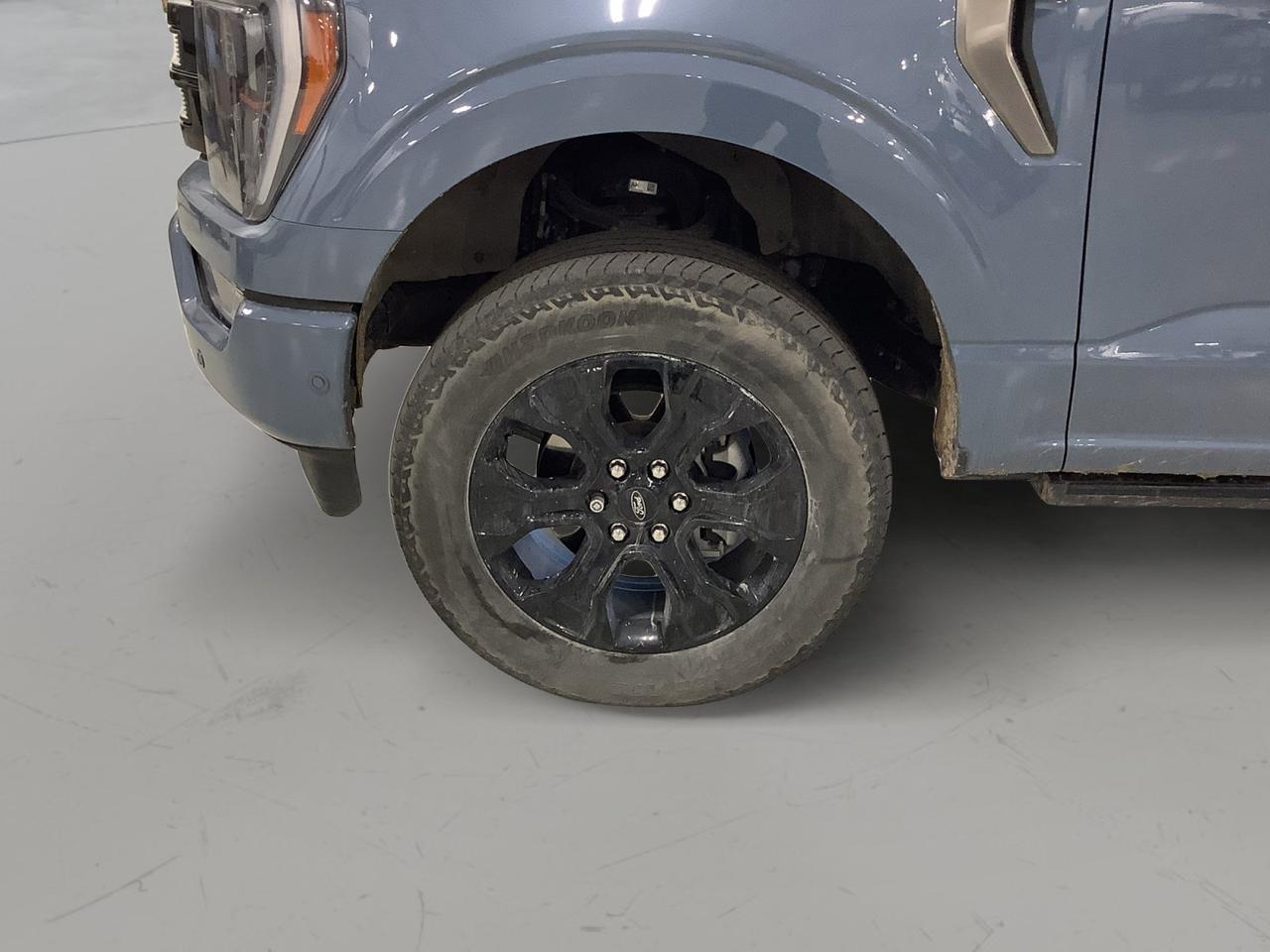 2023 Ford F-150 Platinum New Braunfels TX