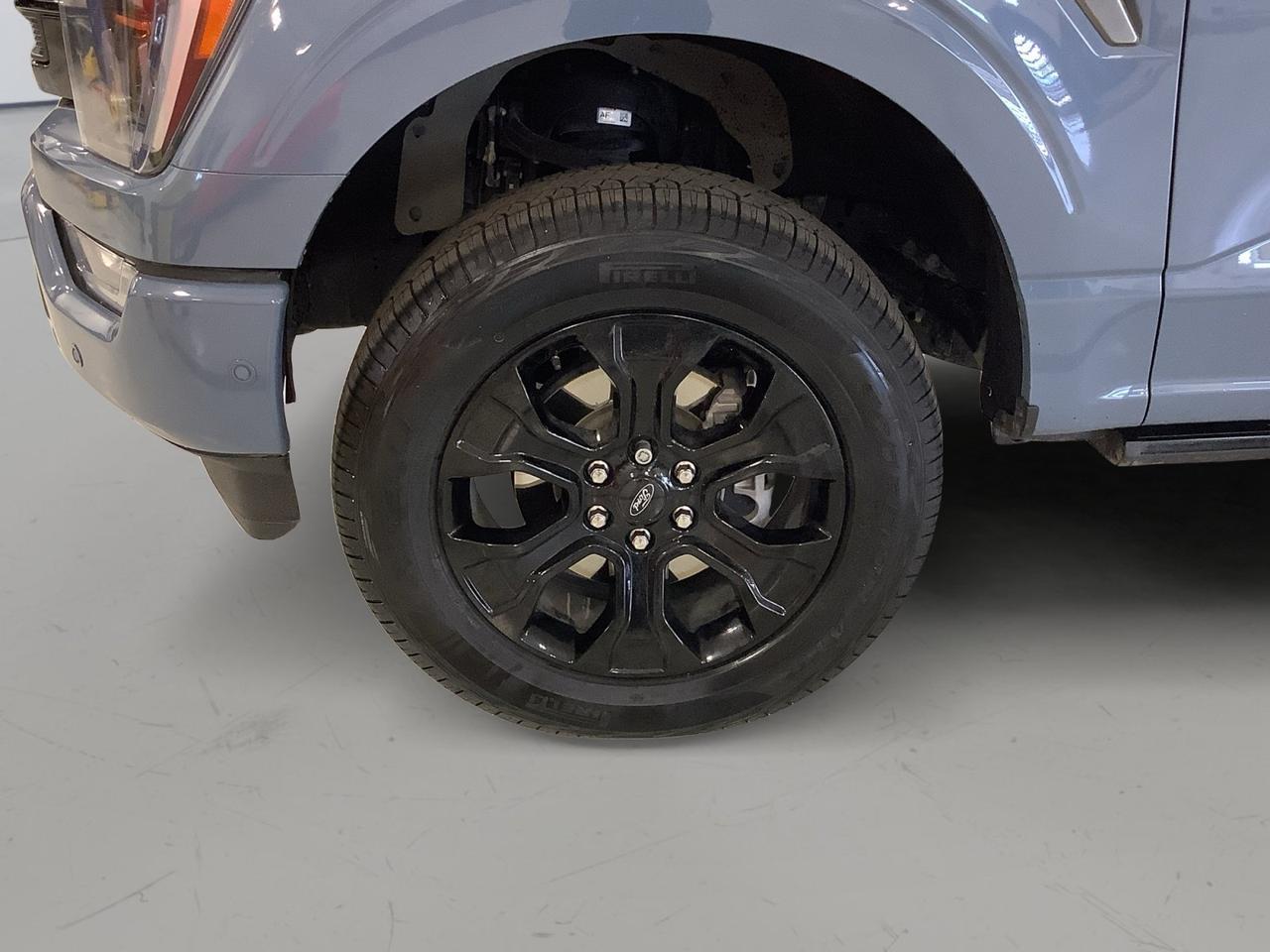 2023 Ford F-150 Platinum New Braunfels TX